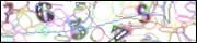 Защита от автоматических сообщений